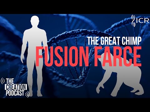 The Truth About the Chimp Genome (Humans & Chimps: Part 2) | The Creation Podcast: Episode 41