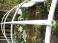 Here's another idea on how to make a nice green house on the cheap. Check out these GREAT channels on youtube: www.gardenfork.tv www.youtube.com