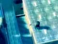 Errori,Stupidaggini,Morti in GTA 4 - 2