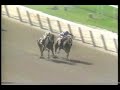 this is a battle between 1990 breeders' cup juvenile fillies champion meadow star and light light in the 1991 the mother goose. to read more about meadow star go here: www.thoroughbredchampions.com