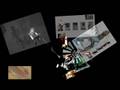videos de EMBT Benedetta Tagliabue WS 08 IUAV Venezia
