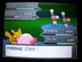 videos de Pokemon Platinum: Volt Tackle Animation