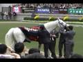 【競馬】オグリキャップ in 東京競馬場 (Oguri Cap in Tokyo Race Course)