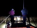 Flounder Gigging at night with the Night Stalker Flounder Gigging at night with the Night Stalker