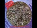 morbid angel   lord of all fevers   plague