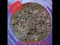 morbid angel   lord of all fevers   plague
