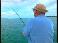 Rooster fishing in Costa Rica