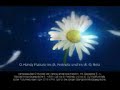 O2 Genion L Kampagne | 1.8 2008 - 27.10 2008