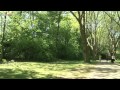 Duisburg Meiderich 100 Jahre Stadtpark
