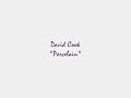 DAVID COOK Analog Heart SEARCHLIGHTS, PORCELAIN HQ audio DAVID COOK Analog Heart SEARCHLIGHTS, PORCELAIN HQ audio