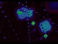 Assistir ao v�deo