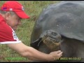 Галапагосская черепаха аквадон.flv