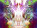 Walter Bruneel's artwork