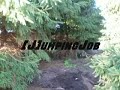 [J]umpingJob Ft. _bRn