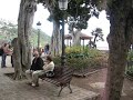 iglesia de san marcos   icod de los vinos   tenerife