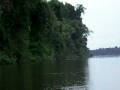 Alone on the Jatapu River, Amazon Rainforest, Brazil