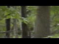 RETRO62.COM TTT