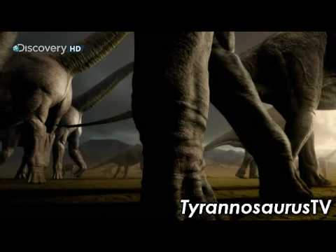 Tyrannosaurus-Rex