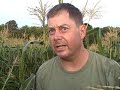 vegetable peter marshall of jackson township still picks corn the old way -- by hand. before daybreak on a recent saturday he takes a reporter along with through his fields. he prefers to pick in the morning, when the dew is still on the stalks, which makes the corn sweeter.