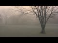 I favorited a YouTube video -- Morning Fog http://www.youtube.com/watch?v=eg86LPXDwOU&feature=autoshare_twitter