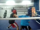 Sparring - Training for Hong Kong Fight
