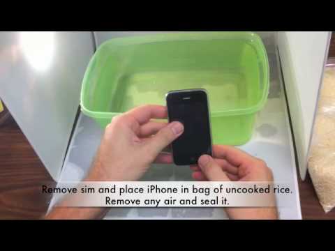how to treat iphone dropped in water