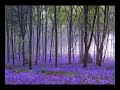 Claro de Luna (Debussy)