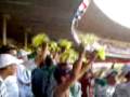 videos de Palmeiras no Mineirão