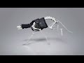 Skrillex – Puppy (Unreleased) DOWNLOAD IN DESCRIPTION