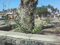 tenerife 2009 081.AVI