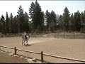 O'Reilly Horse Clip