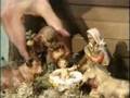 Mr Bean- Christmas part 1 -bought to you by mr Bean Fan club