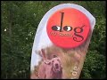 DVG Dogfrisbee+Dogdartbee 2007 DVG Dogfrisbee+Dogdartbee 2007