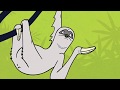 LMAO (Nature Break #4)