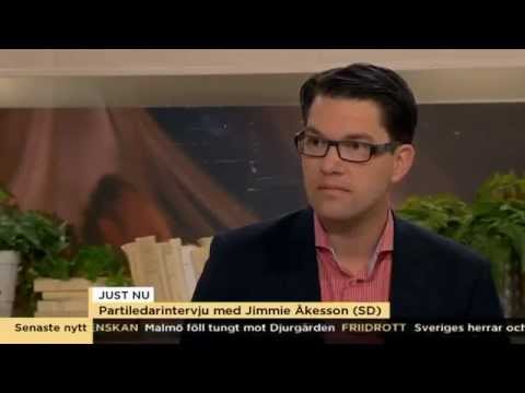 Partiledarintervju - Jimmie Åkesson (SD) - Nyhetsmorgon (TV4)