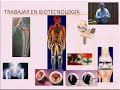Formula 1 y Ciencia e Ingenieria de Materiales Parte 4