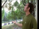 Stuck in the Rain