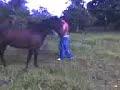 que patada