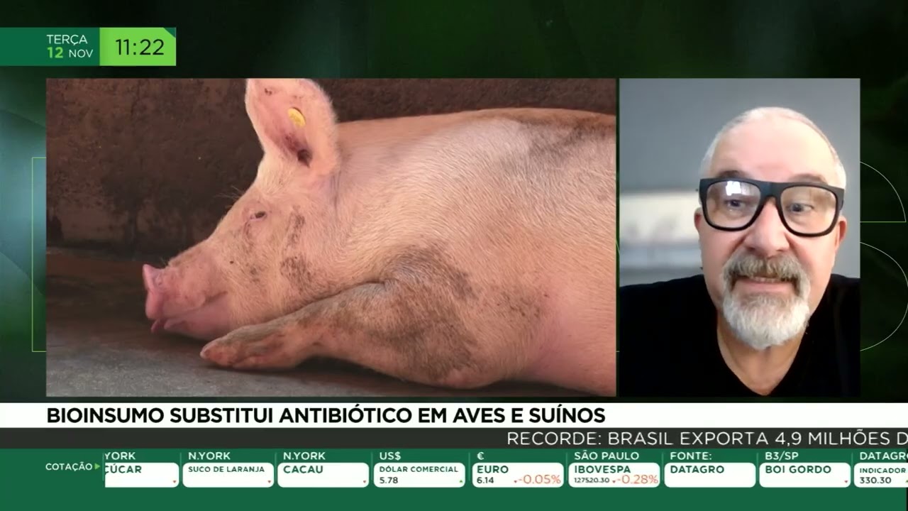 Bioinsumos Substituem Antibióticos em Aves e Suínos