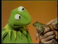 Sesame Street - The lecture about the frog by Kermit Sesame Street - The lecture about the frog by Kermit