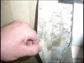 HOTEL MOTEL MOLD CAN MAKE YOU SICK