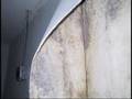 HOTEL MOTEL MOLD CAN MAKE YOU SICK