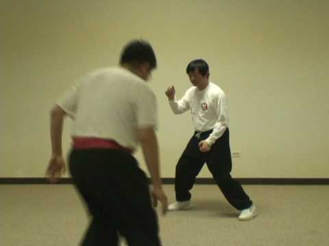 發勁发劲Yizungyue - The Pre-Heaven Power Method (Shian Tian Jin Fa 先天勁法) of the YiZungYue (易宗岳) School of Internal Martial Arts, founded by Master Pan Yue (潘岳) in Taipei, Taiwan...