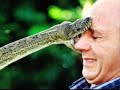 the-greatest-bad-day-slideshow-ever-produced-in-history.html