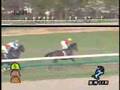 2006ラジオNIKKEI杯2歳S