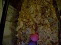 videos de chitto