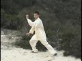 Qigong Chi Kung: Five 5 Animal Frolics Qigong Chi Kung: Five 5 Animal Frolics
