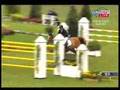 jeroen dubbeldam en up and down