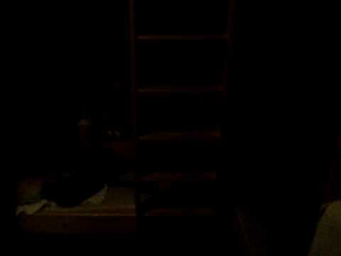 lluis cule pasa por la escaleraaa