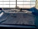Tortona micio surf